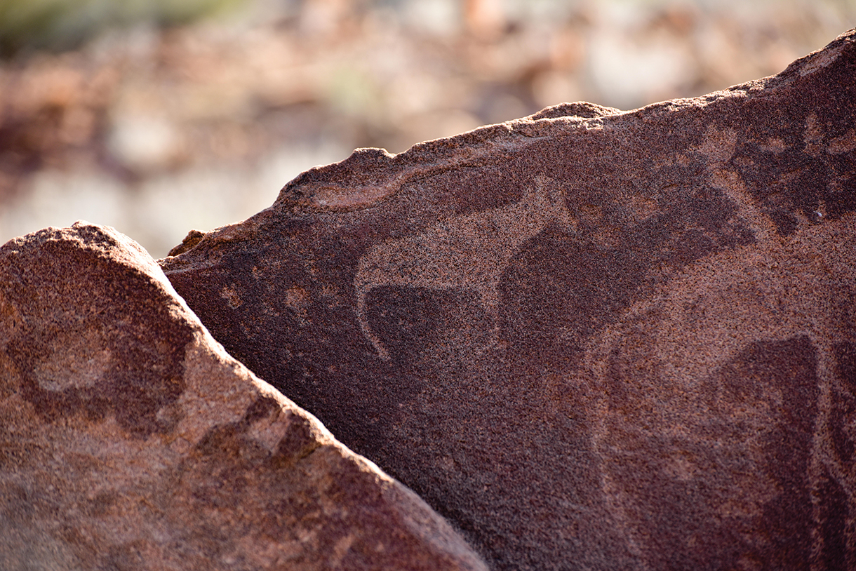 Prehistoric rock engravings 